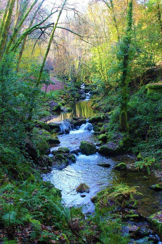 Fervenza y Molinos del Río Gorgua en Padrenda