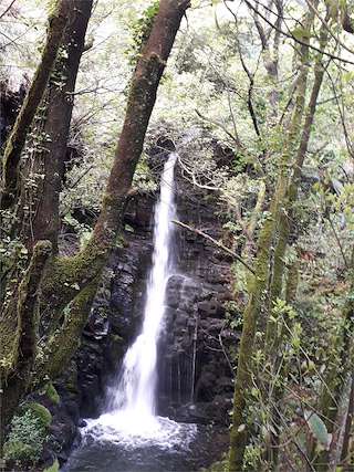 Fechas, información, programa, cartel, imágenes, mapa y ubicación de Fervenzas de Gosolfre  en  Mazaricos