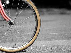 Día da Bicicleta en Pontecesures