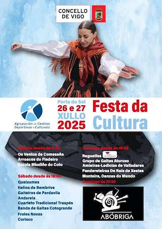 Festa da Cultura en Vigo