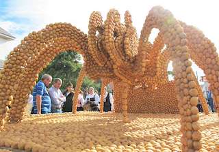 Festa da Pataca en Coristanco