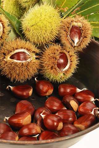 XXVI Festa da Pisa da Castaña de Froxán en Folgoso do Courel