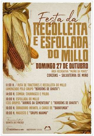 Festa da Esfolla do Millo de Corzáns (2025) en Salvaterra do Miño