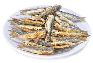 Festa da Xouba en Rianxo