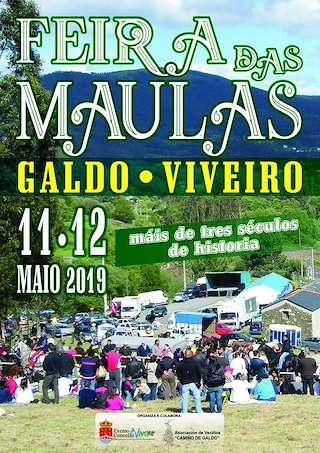 Festa das Maulas de Galdo en Viveiro