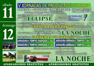 Festa das Maulas de Galdo en Viveiro