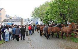 Festa das Maulas de Galdo en Viveiro