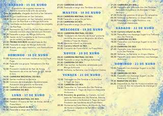 Festa do Boi en Allariz