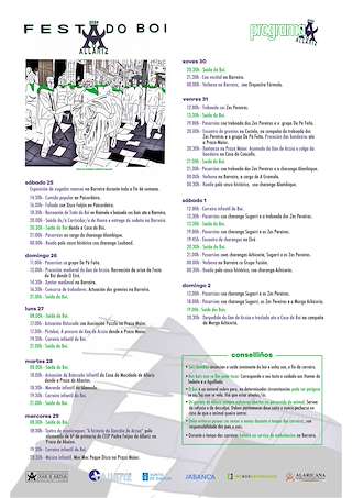 Festa do Boi en Allariz