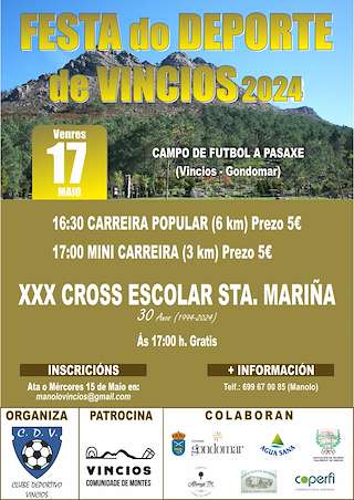 Festa do Deporte de Vincios en Gondomar