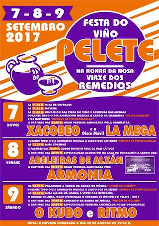 Festa do Viño do Pelete en A Lama