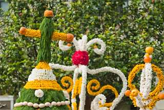 Festa dos Maios en Vilagarcía de Arousa