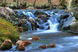 XXI Festa dos Muíños en Meaño