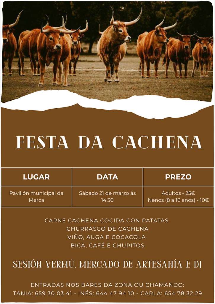 Festa da Cachena en A Merca
