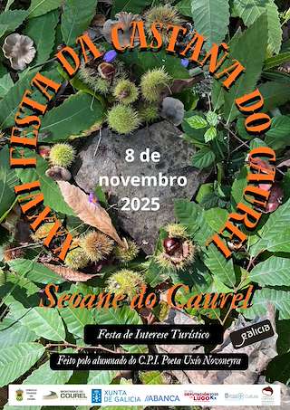 Fechas, información, programa, cartel, imágenes, mapa y ubicación de XXXVI Festa da Castaña (2025) en Folgoso do Courel