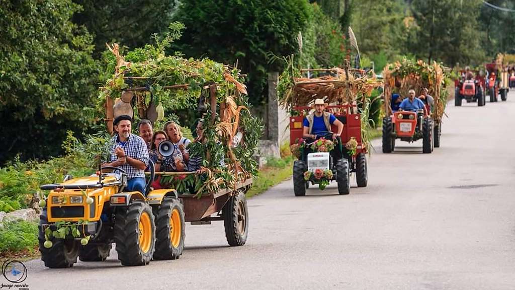 L Festa da Colleita de Sela en Arbo