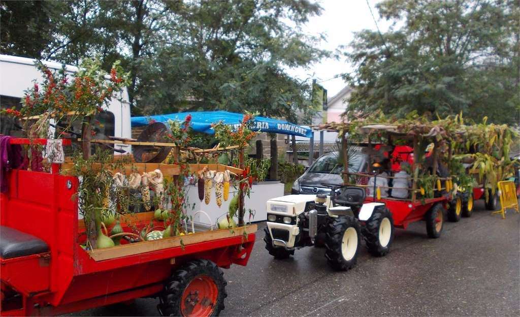 L Festa da Colleita de Sela en Arbo