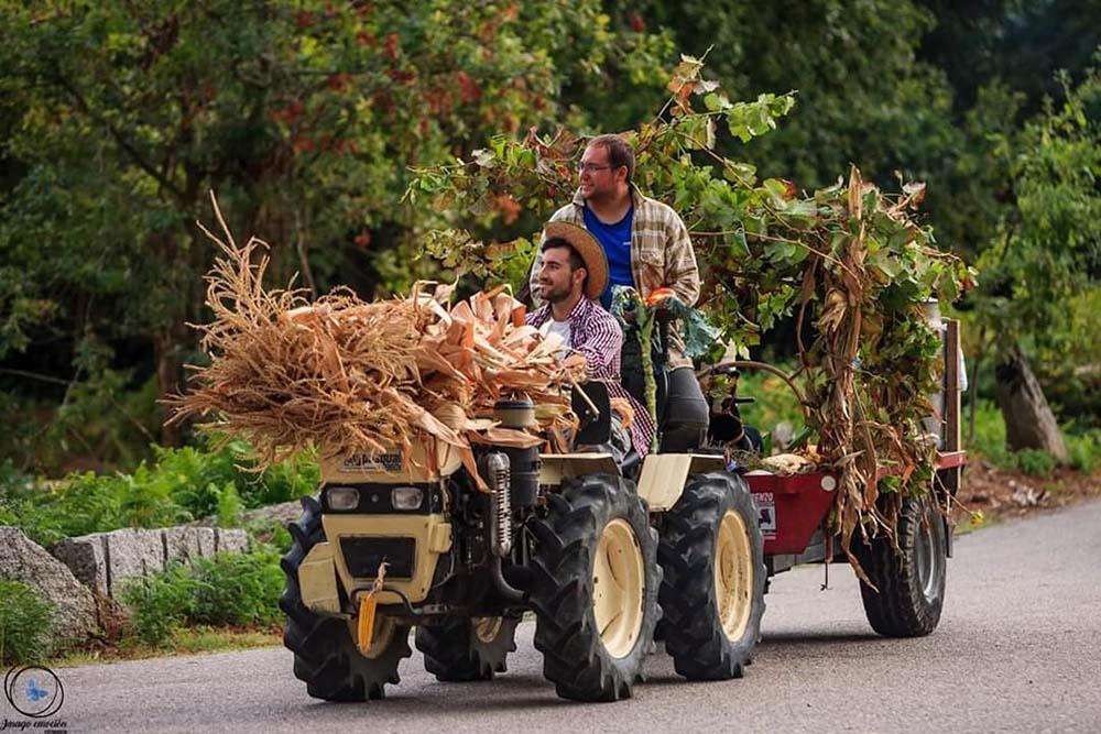 L Festa da Colleita de Sela en Arbo