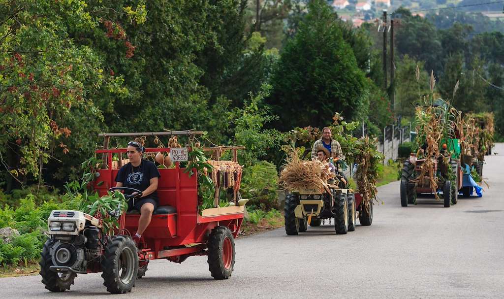 L Festa da Colleita de Sela en Arbo