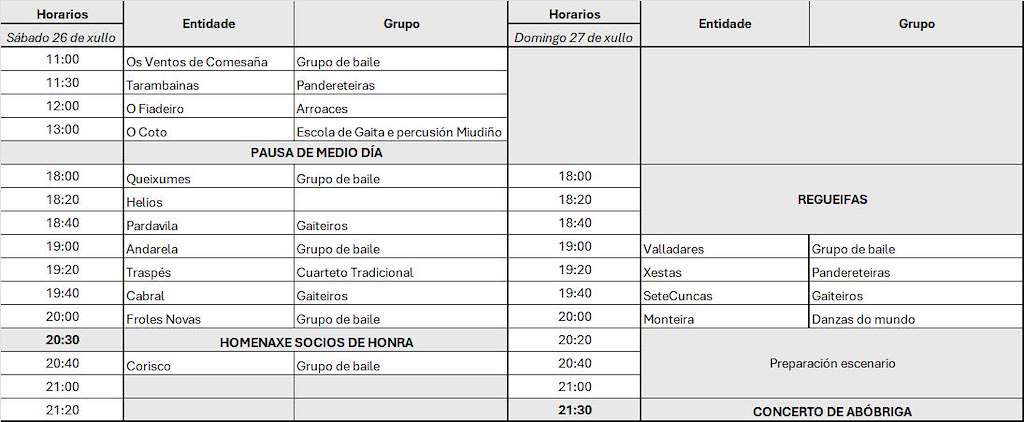 Festa da Cultura en Vigo