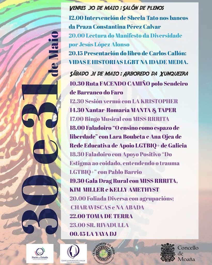 VIII Festa da Diversidade en Moaña