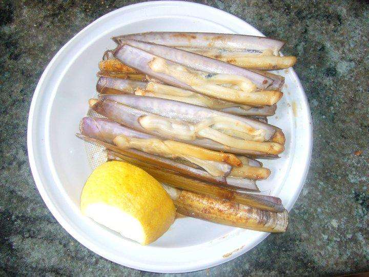 XVIII Festa da Exaltación da Navalla en A Illa de Arousa