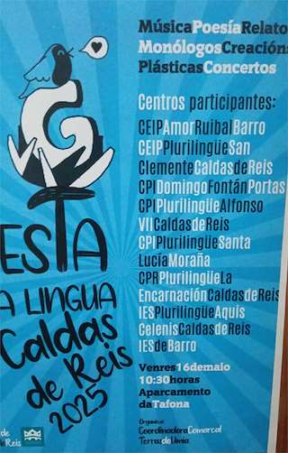 Fechas, información, programa, cartel, imágenes, mapa y ubicación de XI Festa da Lingua  en  Caldas de Reis
