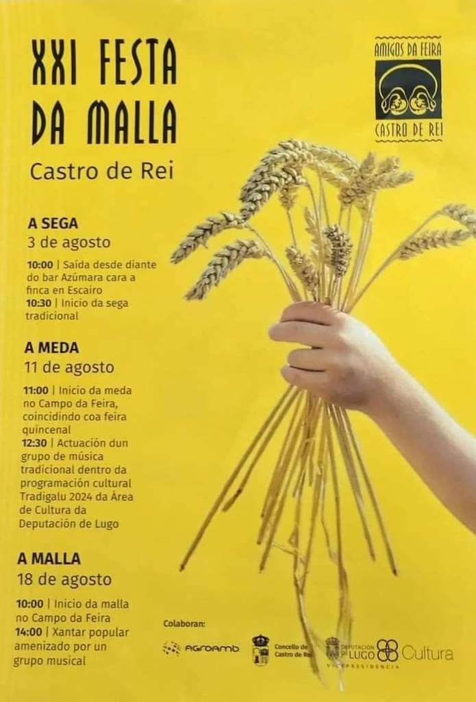 XXI Festa da Malla en Castro de Rei