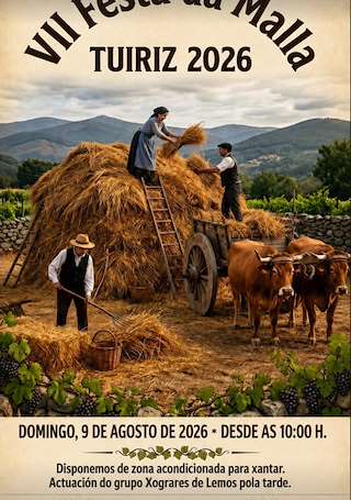 Fechas, información, programa, cartel, imágenes, mapa y ubicación de VII Festa da Malla de Tuiriz (2026)  en  Pantón