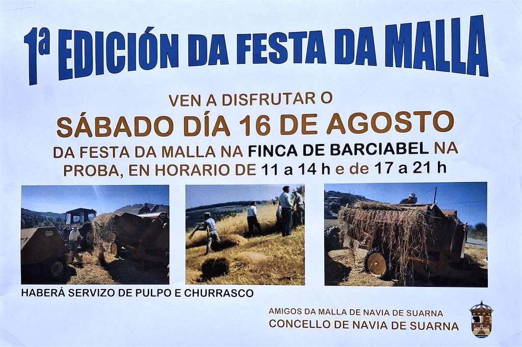 I Festa da Malla en Navia de Suarna