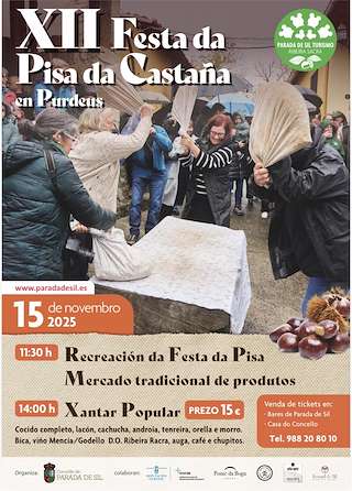 XII Festa da Pisa da Castaña de Purdeus
