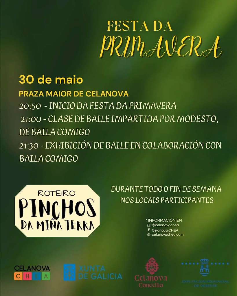 Festa da Primavera (2025) en Celanova