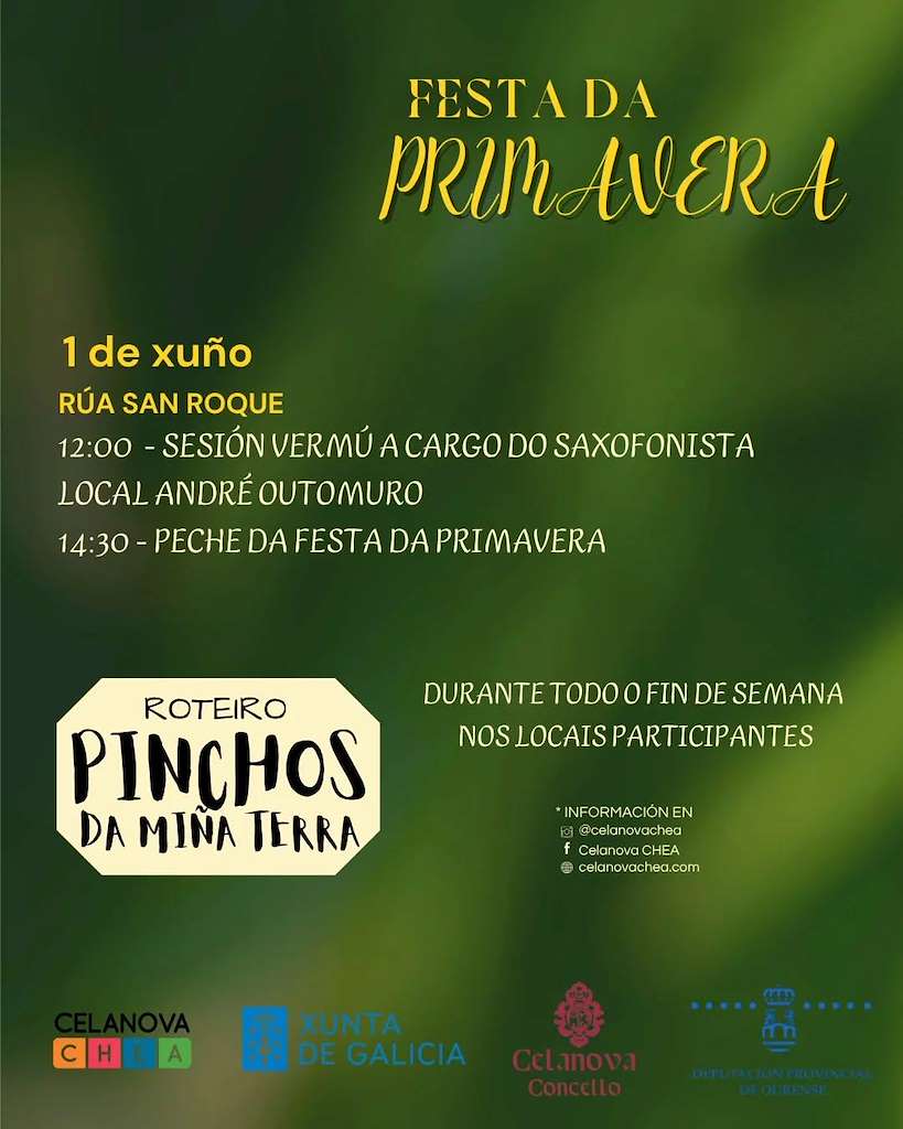 Festa da Primavera (2025) en Celanova