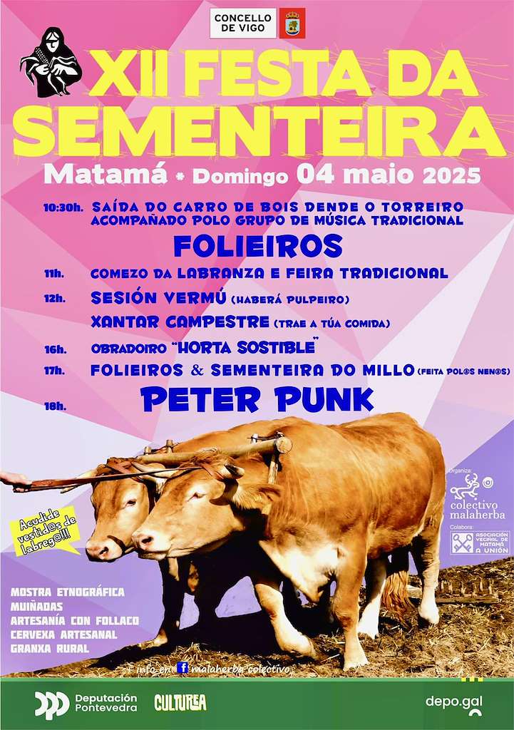 XII Festa da Sementeira do Millo de Matamá (2025) en Vigo