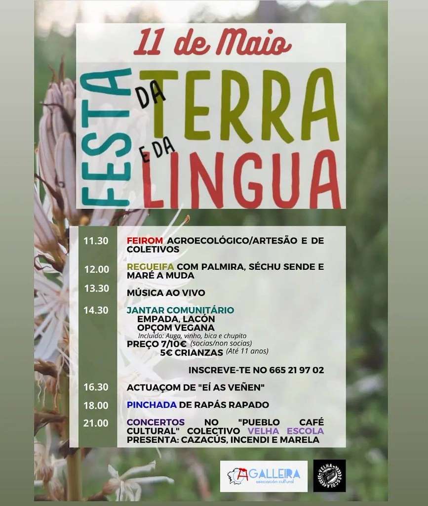 Festa da Terra e da Lingua en Ourense