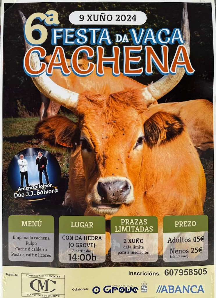 VI Festa da Vaca Cachena  en O Grove