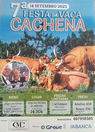 Fechas, información, programa, cartel, imágenes, mapa y ubicación de VII Festa da Vaca Cachena  en  O Grove