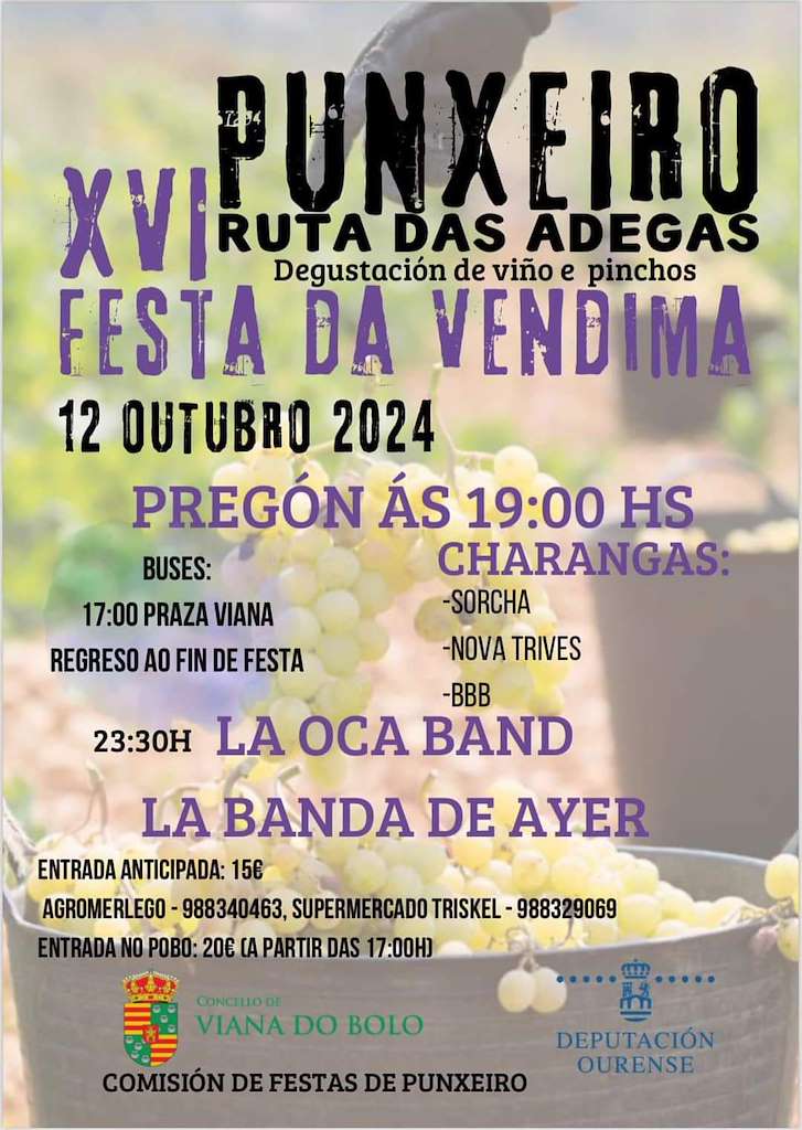 XVI Festa da Vendima - Ruta das Adegas  en Viana do Bolo