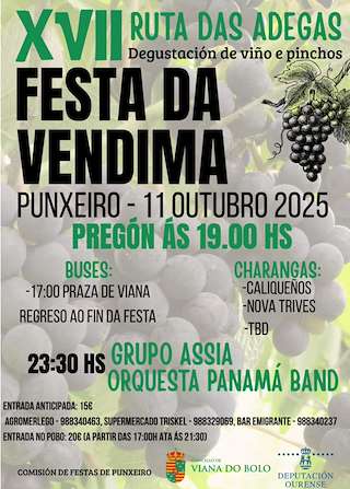 Fechas, información, programa, cartel, imágenes, mapa y ubicación de XVII Festa da Vendima - Ruta das Adegas  (2025)  en  Viana do Bolo