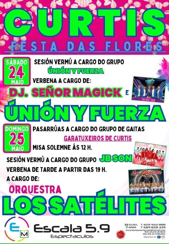 Festa das Flores (2025) en Curtis