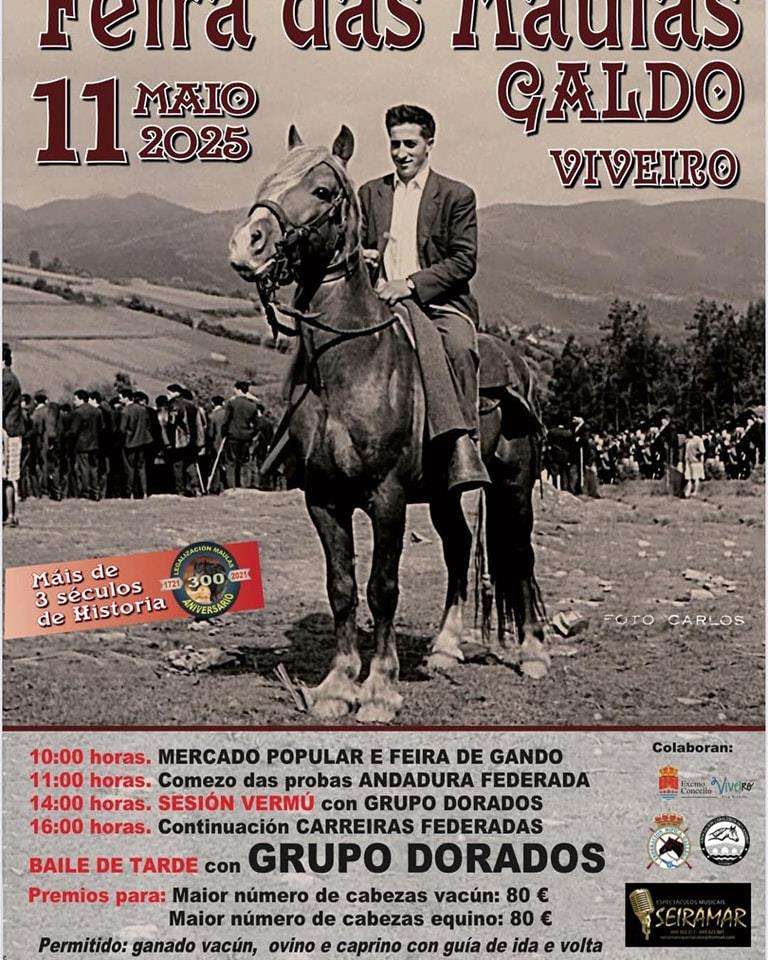 Festa das Maulas de Galdo (2025) en Viveiro