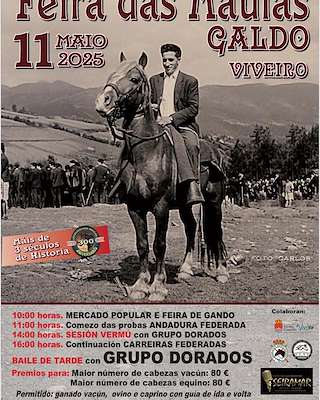 Fechas, información, programa, cartel, imágenes, mapa y ubicación de Festa das Maulas de Galdo  en  Viveiro