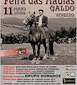 FiestasRelacionadas Festa das Maulas de Galdo en Viveiro