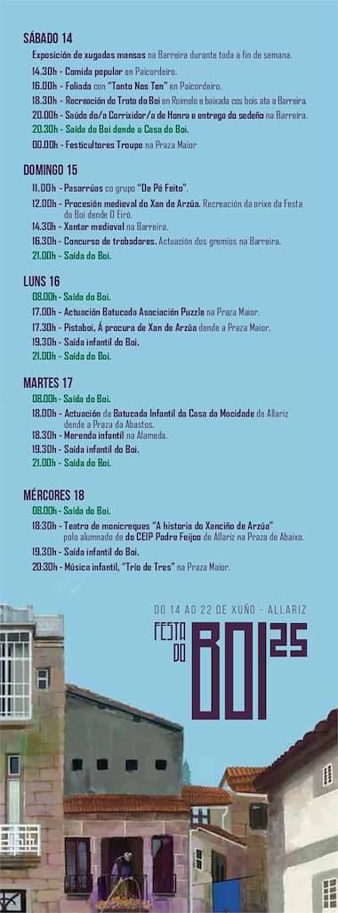 Festa do Boi en Allariz