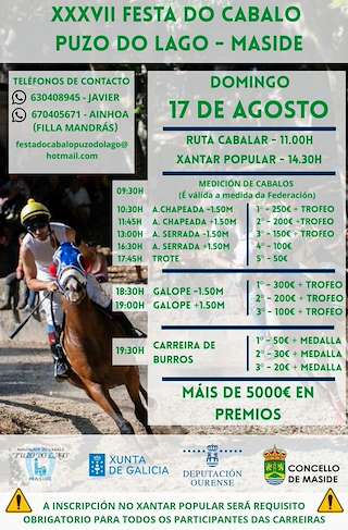 Fechas, información, programa, cartel, imágenes, mapa y ubicación de XXXVII Festa do Cabalo  en  Maside