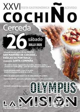 Fechas, información, programa, cartel, imágenes, mapa y ubicación de XXVI Festa do Cochiño  en  Cerceda