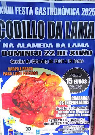 Fechas, información, programa, cartel, imágenes, mapa y ubicación de XXIII Festa do Codillo  en  A Lama