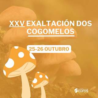 Fechas, información, programa, cartel, imágenes, mapa y ubicación de XXV Festa do Cogomelo (2025)  en  Curtis