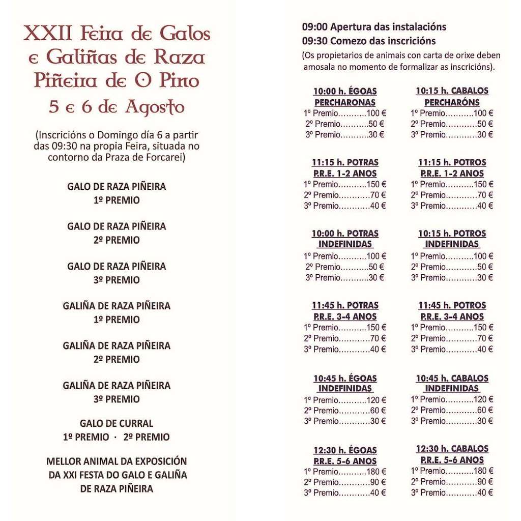 XXI Festa do Galo Piñeiro e Mostra Cabalar - XII Feira Celta en O Pino