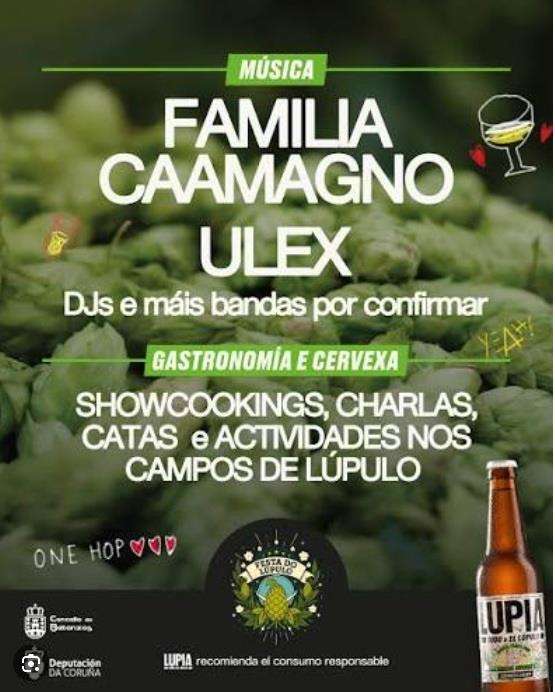 Festa do Lúpulo  (2026) en Betanzos
